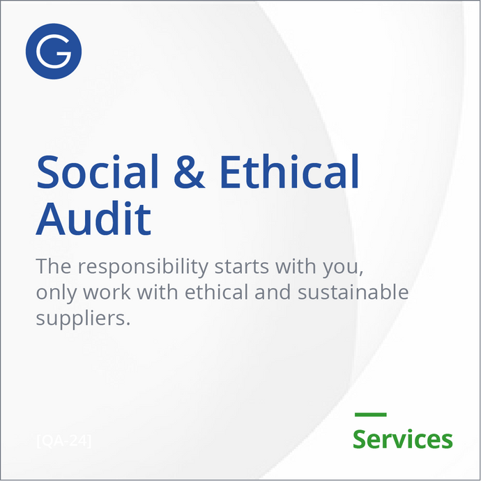 Social and Ethical Audit